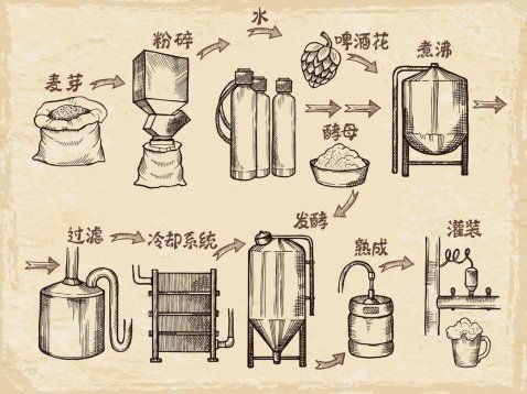 關(guān)于啤酒的知識(shí)，看這一文就夠了
